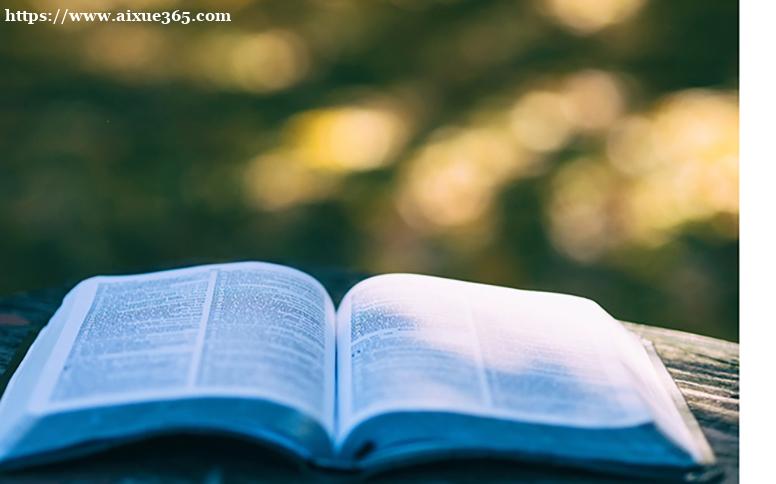 211保研容易考嗎？全面解析成功路徑與策略