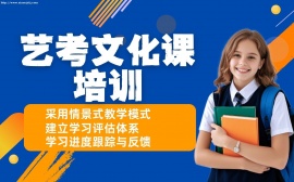 深圳藝考文化課培訓(xùn)班