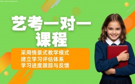 深圳藝考文化課一對(duì)一輔導(dǎo)