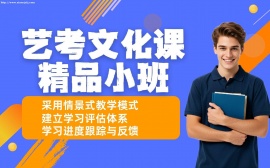 深圳藝考文化課精品小班