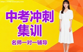 {深圳中考沖刺集訓(xùn)