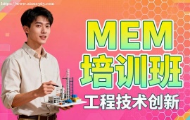 {上海MEM培訓(xùn)班